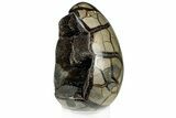 Septarian Dragon Egg Geode - Black Crystals #302857-1